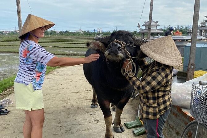 Experience Buffalo Ride and Farmer in Hoi An - Copyright and Terms & Conditions