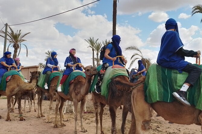 Experience Camel Ride Sunset or Anytime - Overview of the Experience