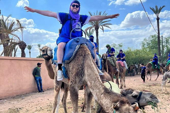 Experience Camel Ride Sunset or Anytime - Traveler Photos and Reviews