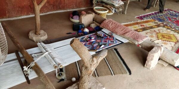 Experience Camel Riding, Jeep Safari, Meal in Osian Villlage - Experience Description