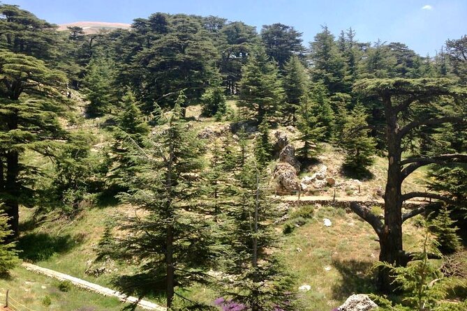 Experience Cedars, Qadisha and Bcharee Shared Tour - Pricing Details