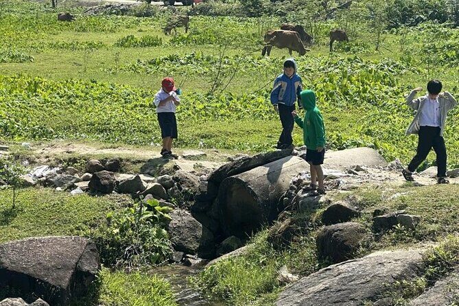 Experience Cham Islands Snorkeling Trip by Speedboat - Why This Tour is a Solid Choice