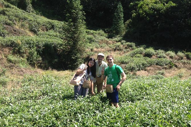 Experience Chengdu: Private Tea-Making Day Tour of Mengdingshan Tea Plantation - Logistics & Pricing
