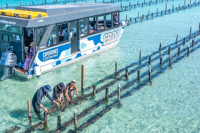 Experience Coffin Bay Oyster Farm and Bay Tour - Tour Details