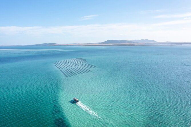Experience Coffin Bay Oyster Farm and Bay Tour - Inclusions