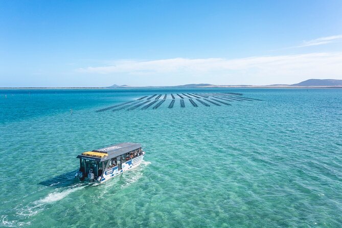 Experience Coffin Bay Oyster Farm and Bay Tour - Cancellation Policy and Reviews