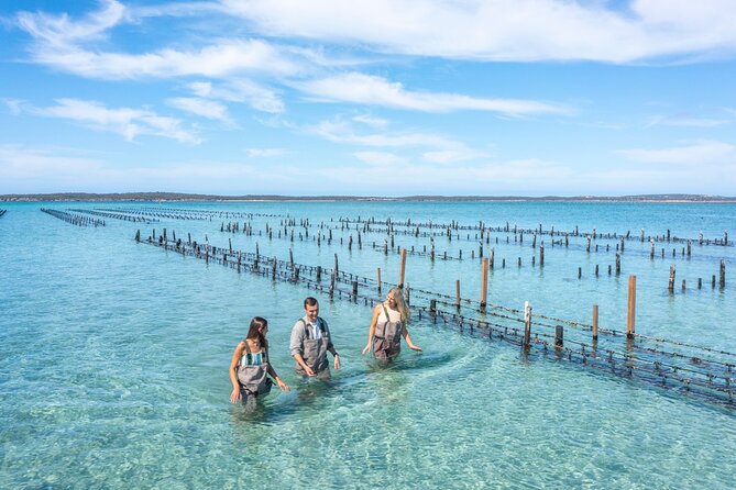Experience Coffin Bay Oyster Farm and Bay Tour - Common Questions