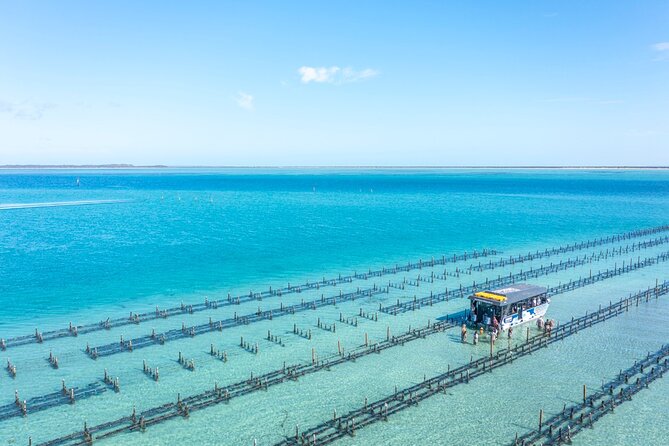 Experience Coffin Bay Oyster Farm and Bay Tour - The Sum Up