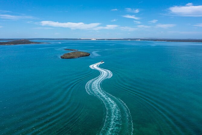 Experience Coffin Bay Short and Sweet Oyster Farm Tour - Boat Exploration Option