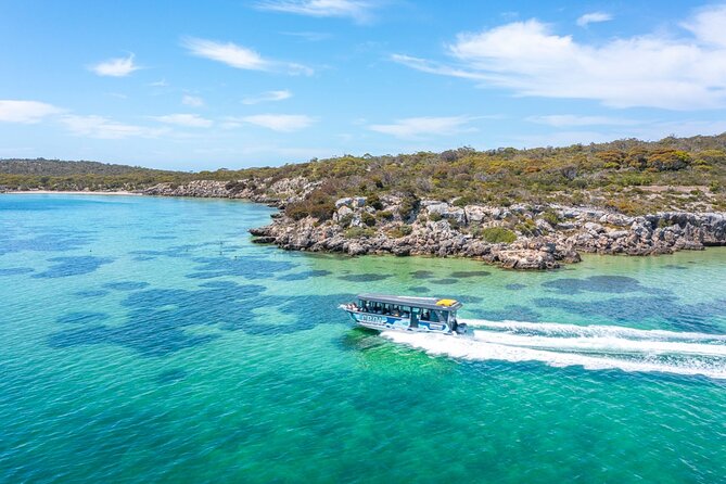 Experience Coffin Bay Short and Sweet Oyster Farm Tour - Meeting Point and Departure