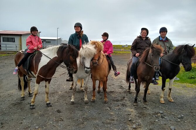 Experience Countryside of Iceland by Horseback Riding - The Sum Up