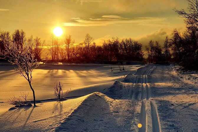 Experience Cross-Country Adventure in Tromsø - Activity Details