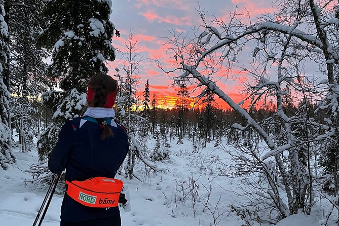 Experience Cross-Country Adventure in Tromsø - What to Expect