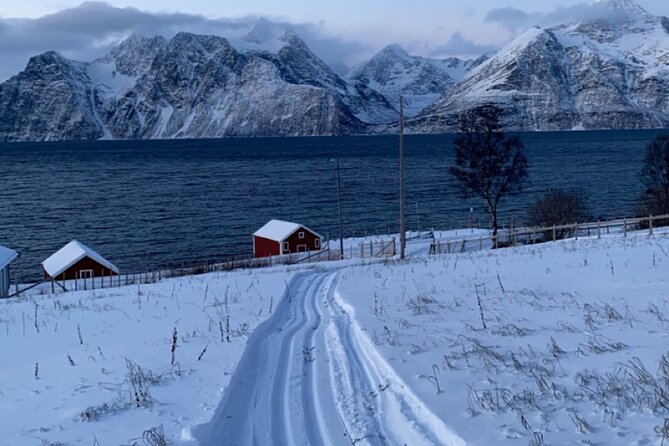 Experience Cross-Country Adventure in Tromsø - The Sum Up