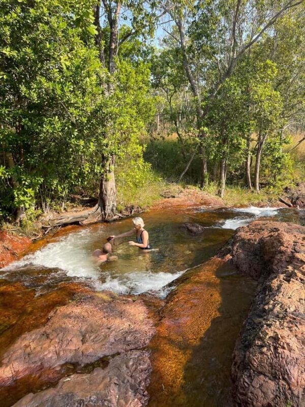 Experience Darwin's Best: Jumping Crocodiles and Litchfield - Jumping Crocodile Cruise at Adelaide River
