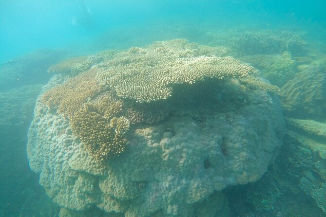Experience Diving Bay Canh Islet With Catamaran - Diving Equipment and Safety Measures