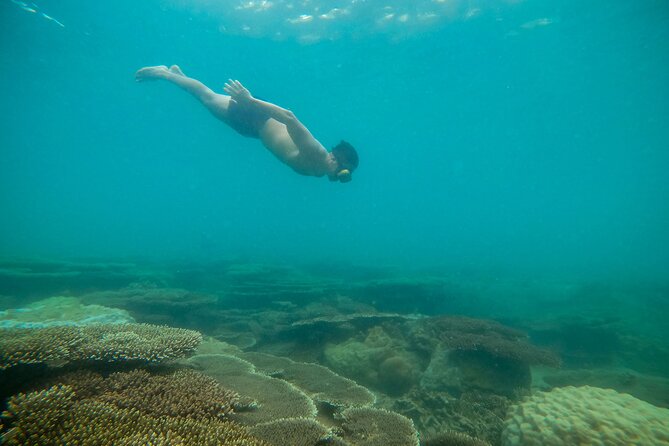 Experience Diving Bay Canh Islet With Catamaran - Common Questions