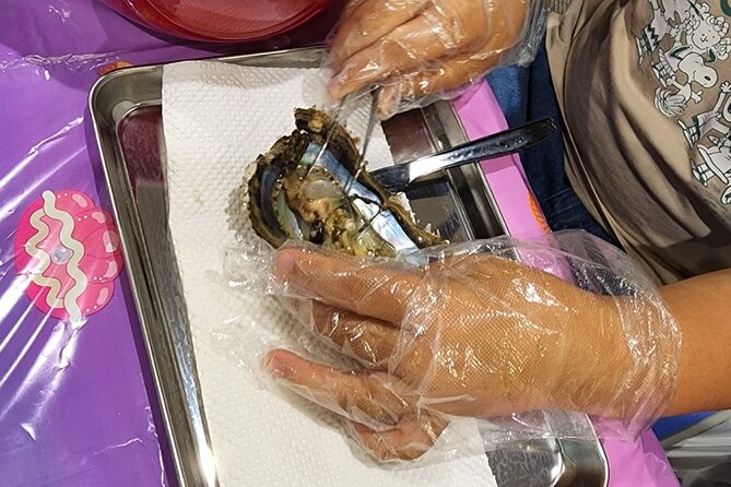 Experience Extracting Pearls From Akoya Oysters - Step-by-Step Pearl Extraction Process