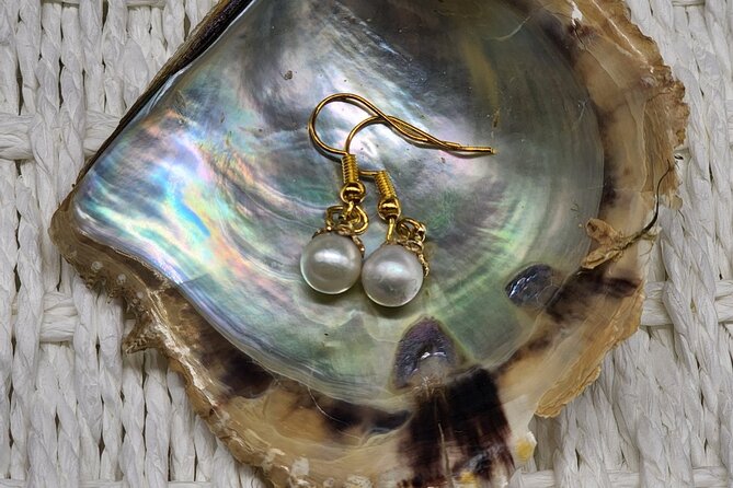 Experience Extracting Pearls From Akoya Oysters - Care and Maintenance of Extracted Pearls
