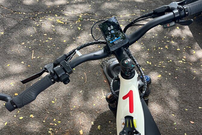 Experience Fort Collins by E Bike Guided Tour - Practical Details and Group Dynamics