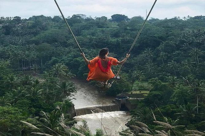 Experience Full Day to Bali Swing Temple and Monkey Forest - Pricing and Booking