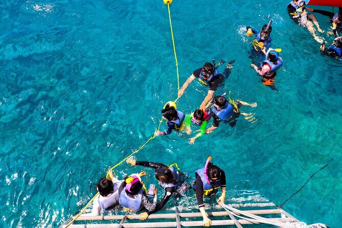 Experience Guam Dolphin Cruise - FAQs