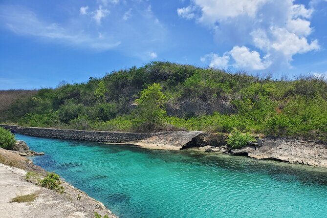 Experience Guam Dolphin Cruise - Final Thoughts