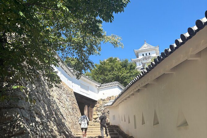 Experience Himeji Castle with a Local University Student Guide - Exploring Himeji Castle: What to Expect