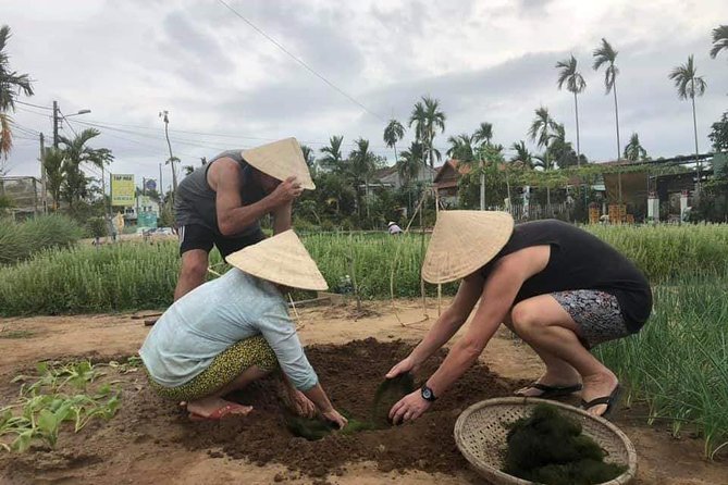 Experience Hoi an Rural Eco Tour From Da Nang or Hoi an City - Minimum Traveler Requirement