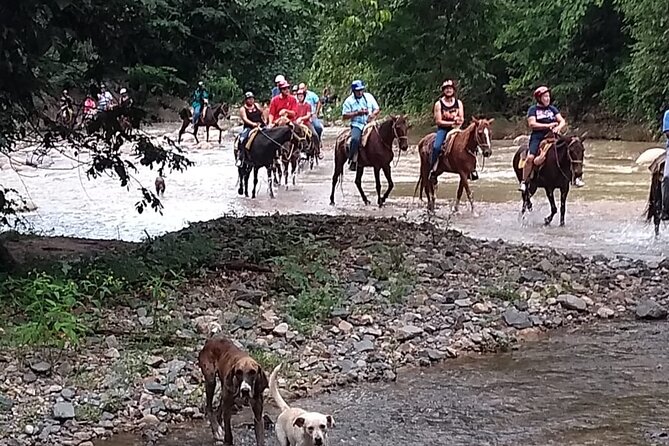 Experience Horse Riding, ATV & Zipline From Puerto Vallarta - Activities Offered