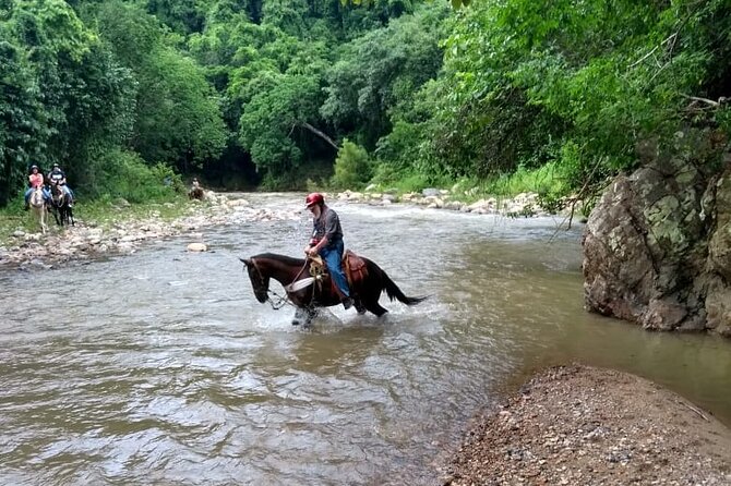 Experience Horse Riding, ATV & Zipline From Puerto Vallarta - Visiting the Sierra Madre Rainforest