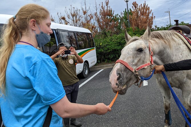 Experience Horseback Riding With Samurai Costume in Japan - Inclusions