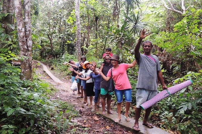 Experience Huge Waterfall, Historical Fijian Handicraft Village & Coastal City - Pricing and Copyright