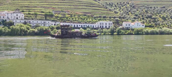 Experience in Pinhão: Wine Tasting, Lunch and Rabelo Boat - Final Thoughts
