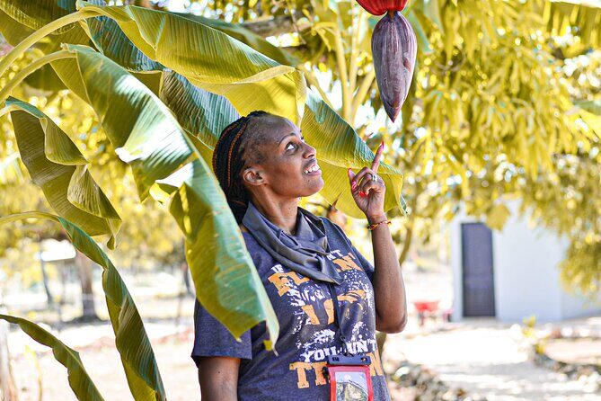 Experience in quadricycle ATV Punta Cana Playa Campo and Tradition - Who Should Consider This Tour?