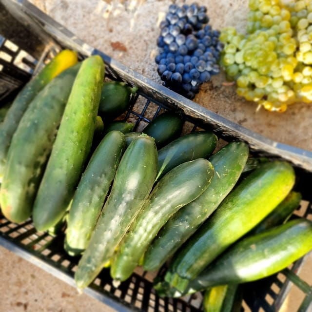 Experience Island Brac With Cooking Class on a Local Farm - Good To Know