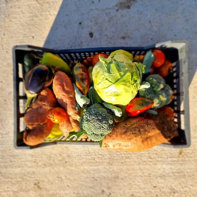 Experience Island Brac With Cooking Class on a Local Farm - Booking and Cancellation