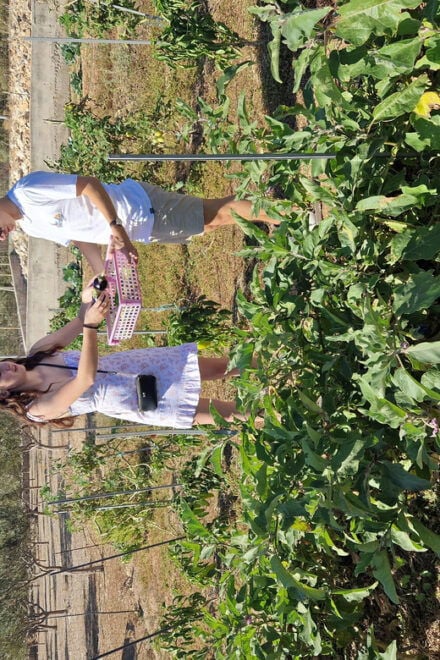 Experience Island Brac With Cooking Class on a Local Farm - Cooking Experience