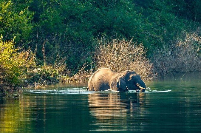 Experience Jungle Nights: Stay in Jim Corbett National Park's FRH - FAQs