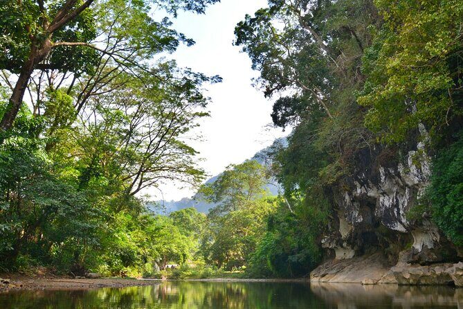 Experience Khao Sok Jungle Escape Half Day Half Night - Introduction: An Authentic Half-Day Jungle Adventure in Khao Sok  