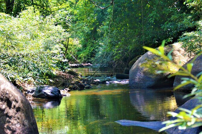 Experience Khao Sok Jungle Escape Half Day Half Night - The Value of This Experience  
