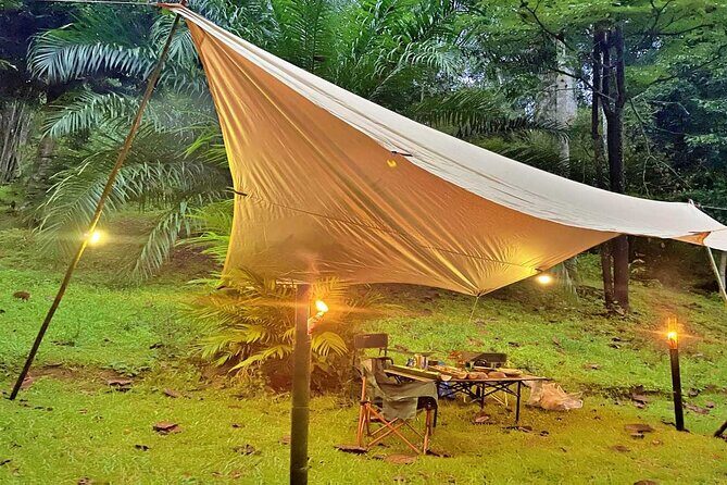 Experience Khao Sok Jungle Escape Half Day Half Night - Good To Know