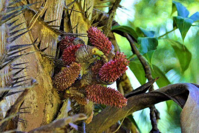 Experience Khao Sok Jungle Escape Half Day Half Night - Final Thoughts