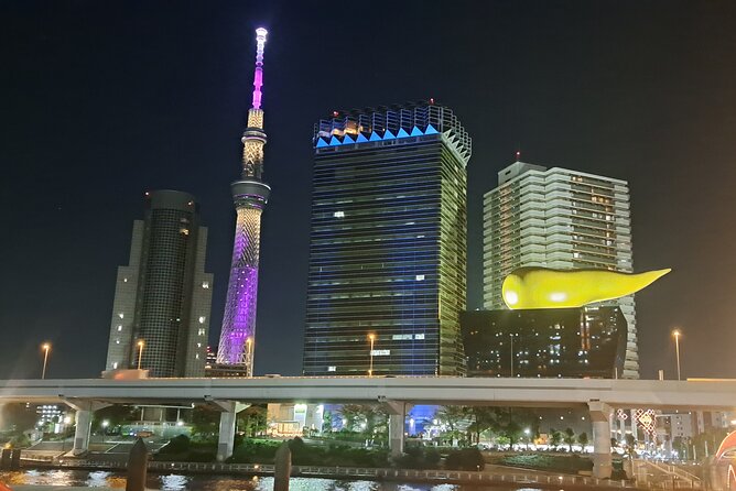 Experience Local Tokyo With National Certified Tour Guide - Tour Preparation and Recommendations