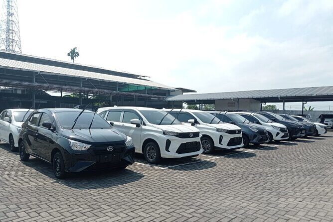 Experience Lombok with Private Car Transport - Good To Know