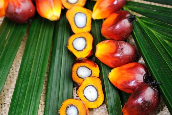 Experience Malaysia: Authentic Malaysia Cooking Tour - Inclusions