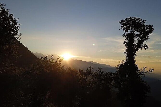 Experience Mardi Himal Trek - Authentic Experiences and Insights from Reviews