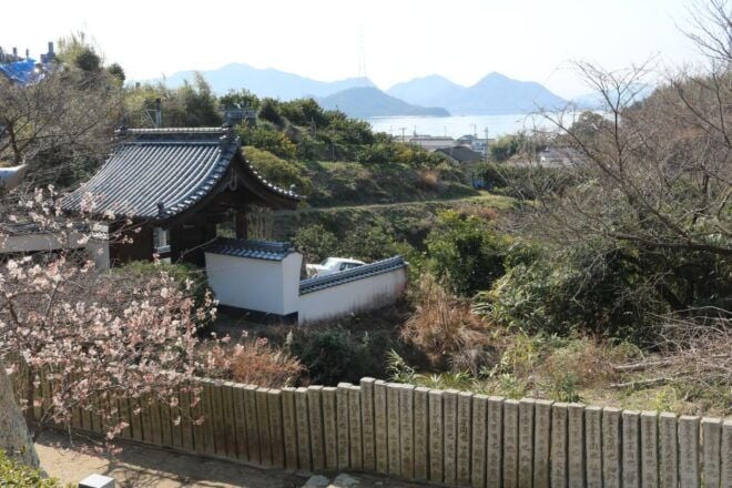 Experience Meditation at Shounji Temple, Takehara Hiroshima - Tea Ceremony With the Chief Priest