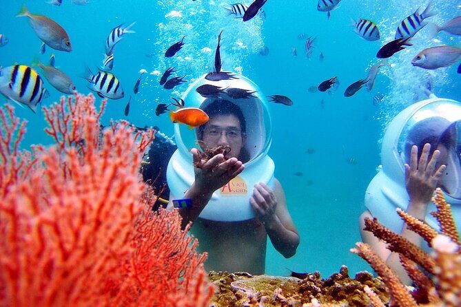 Experience Nha Trang Sea Walk and Traditional Seafood Cuisine - Good To Know