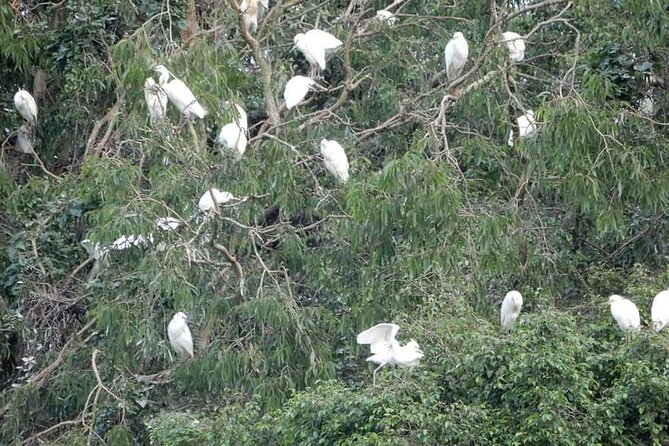 Experience Ninh Binh and Incense Village Private Tour of 3 Days - Additional Information